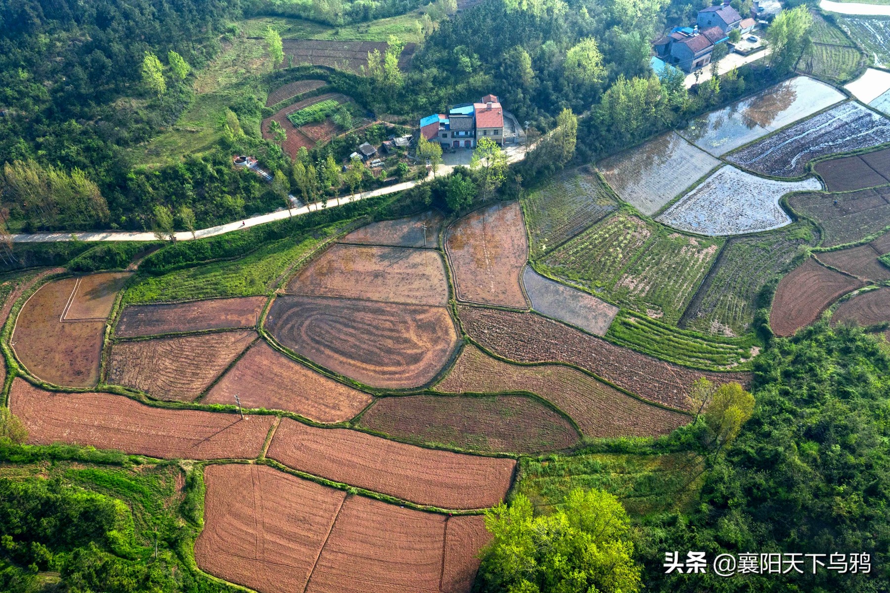 喻家湾年轻的村官叫磊娃儿