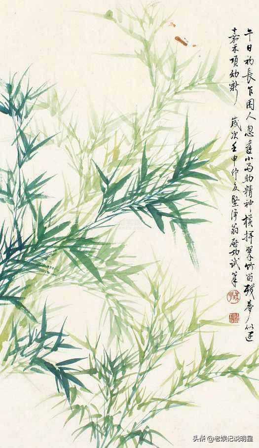 启功自述生平视频,启功晚年照片大全