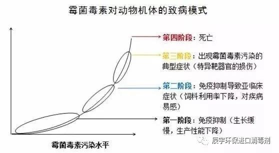 食品厂酵母菌超标是什么导致的,糕点食品厂霉菌超标如何解决