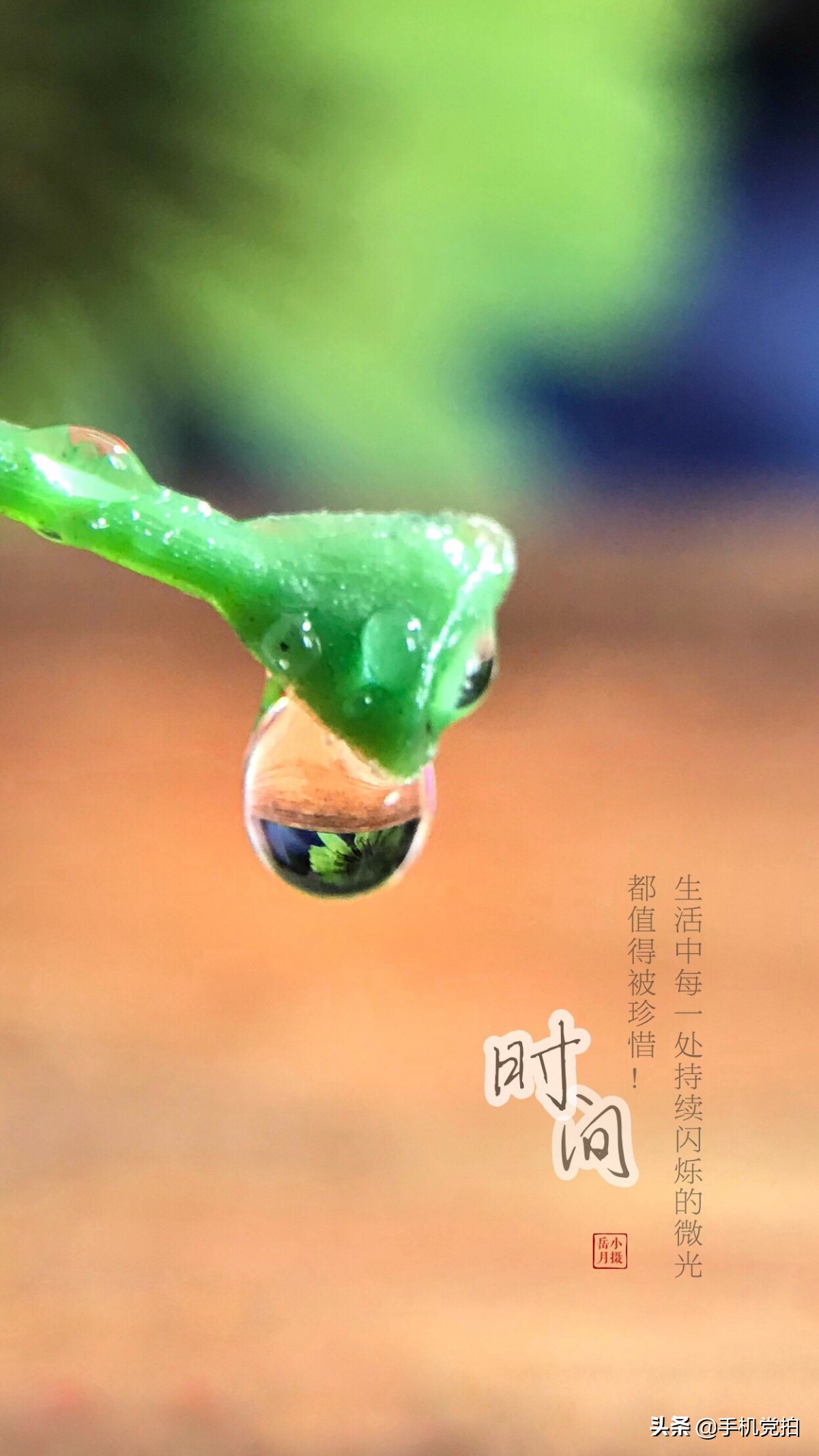 手机摄影怎么拍空房的空间感,手机黄墙拍照怎么拍出高级感