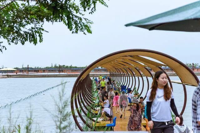 你是否见过鱼儿逆流而上？这里的“渔文化”妙趣横生