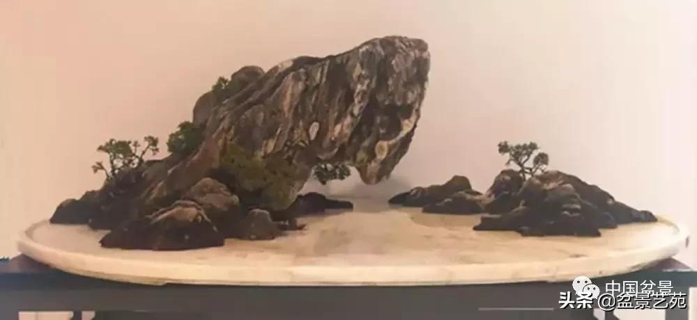 玩盆景必备栽种知识,观赏盆景的意境