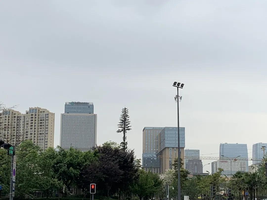 成都高新南区大源西土地拍卖,成都高新区大源天府五街土地拍卖