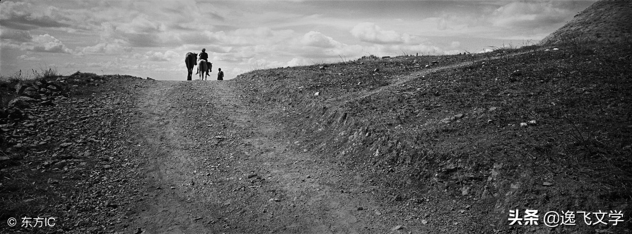 散文爱是一种无法忘记的痛,散文爱