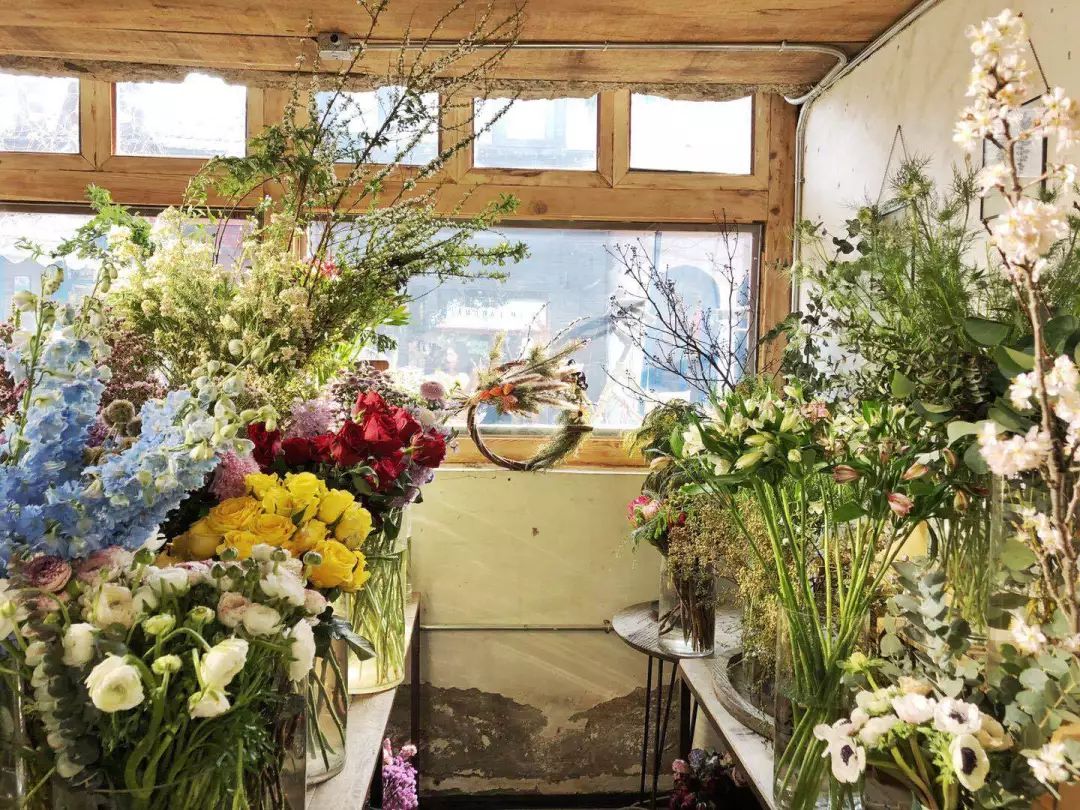 她辞去总监回家扶贫后续,她辞去总监回家扶贫结局