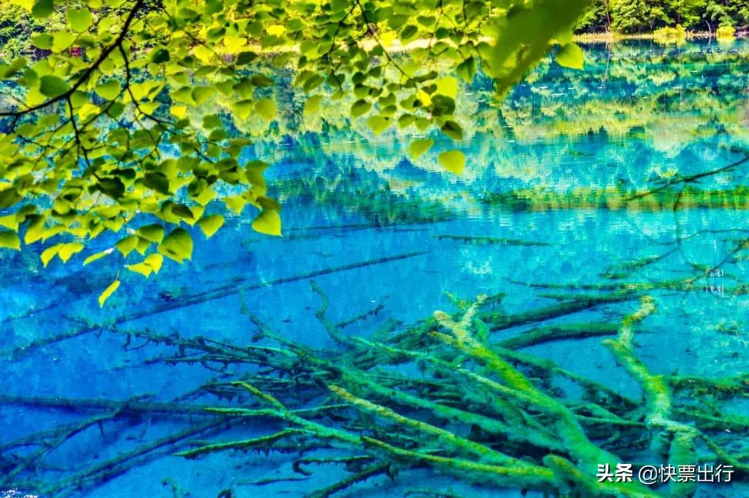 现在的九寨沟还值得去吗,经过一年的休整