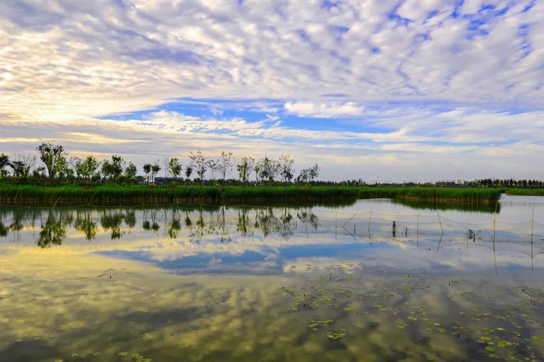 天津西南部在哪里,天津静海和什么地方相邻