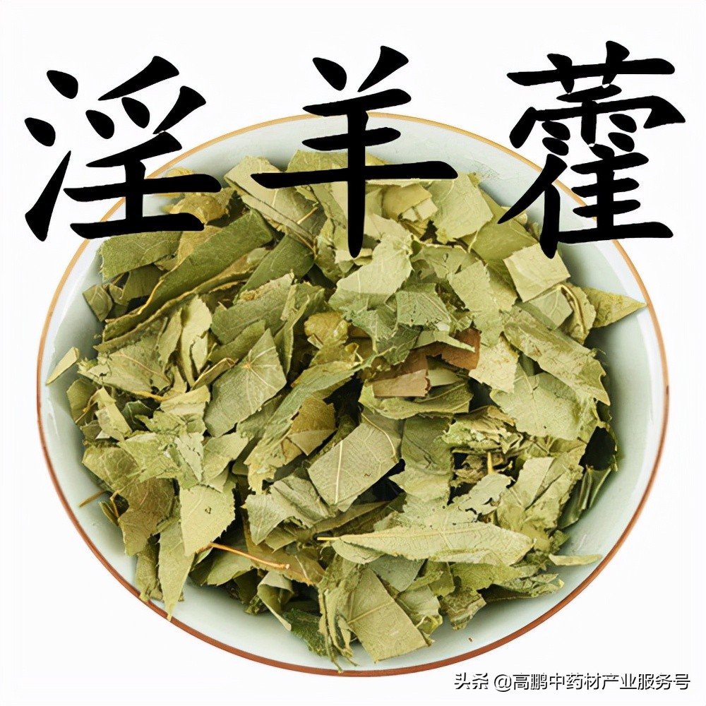 高鹏分析中药材走势,高鹏说药材当归