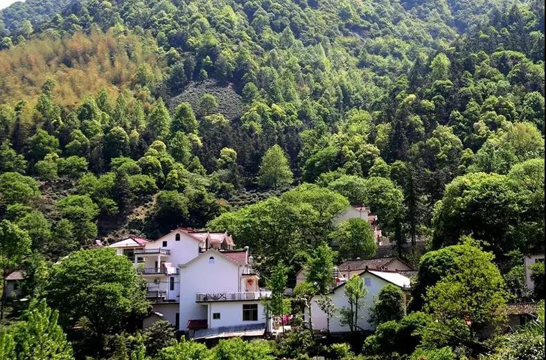 安徽皖南梯田美如世外桃源,皖美乡村旅游线路出炉