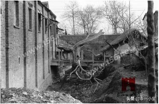 海陵古桥洧水桥。海陵人“洧”字读“右”音