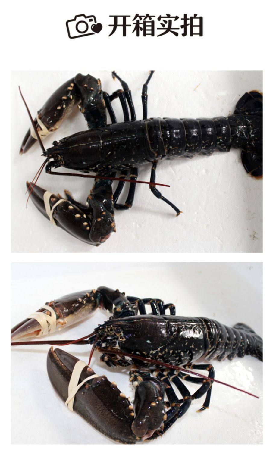 长春生鲜冷链配送,长春蔬果生鲜配送新鲜直达