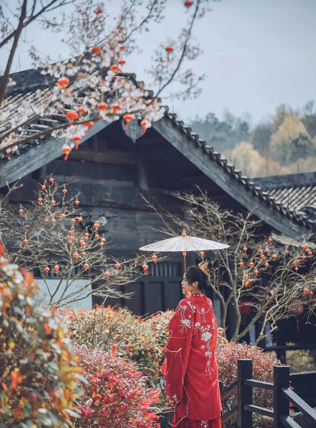 “海上小丽江”!这小城承包了海岛最美春色