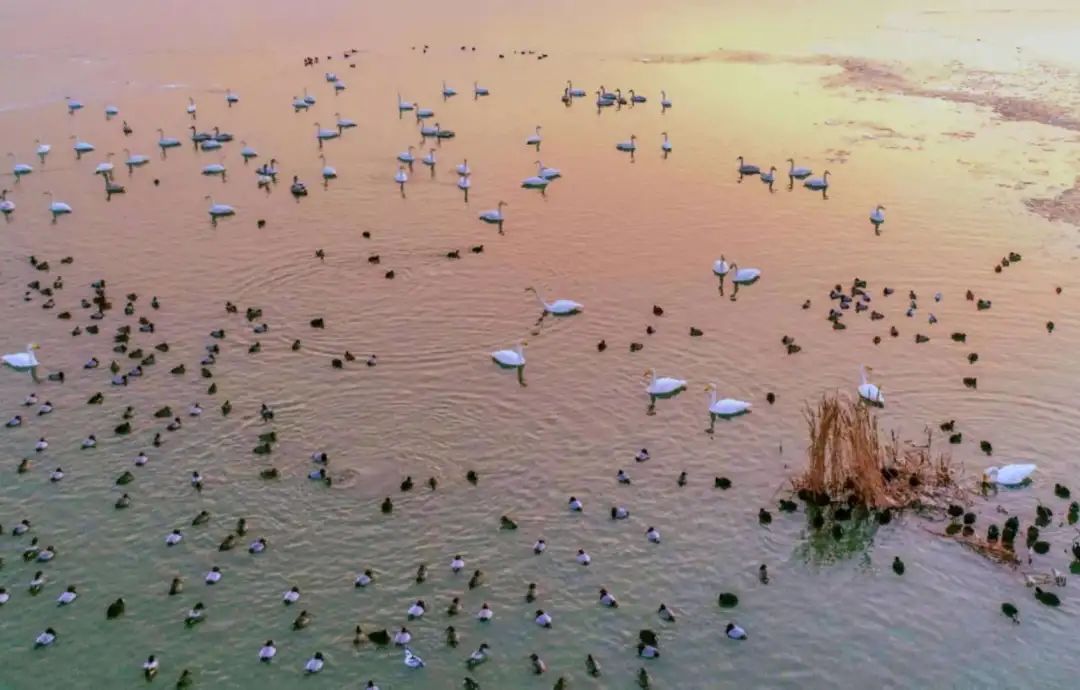 山东这两座小城，集齐了所有令人向往的美景，超级适合自驾！