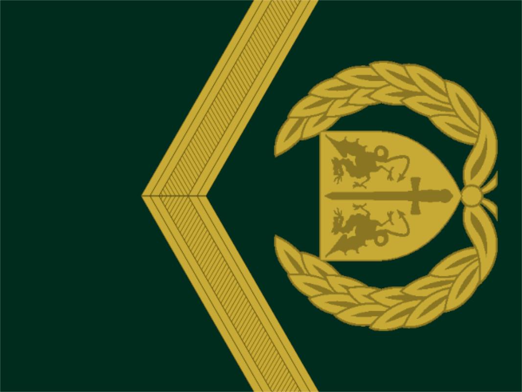 各国军队标识葡萄牙陆军,各国军衔标识葡萄牙