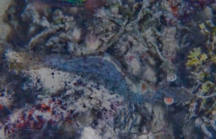 海底你不知道的东西,海底世界东海龙宫