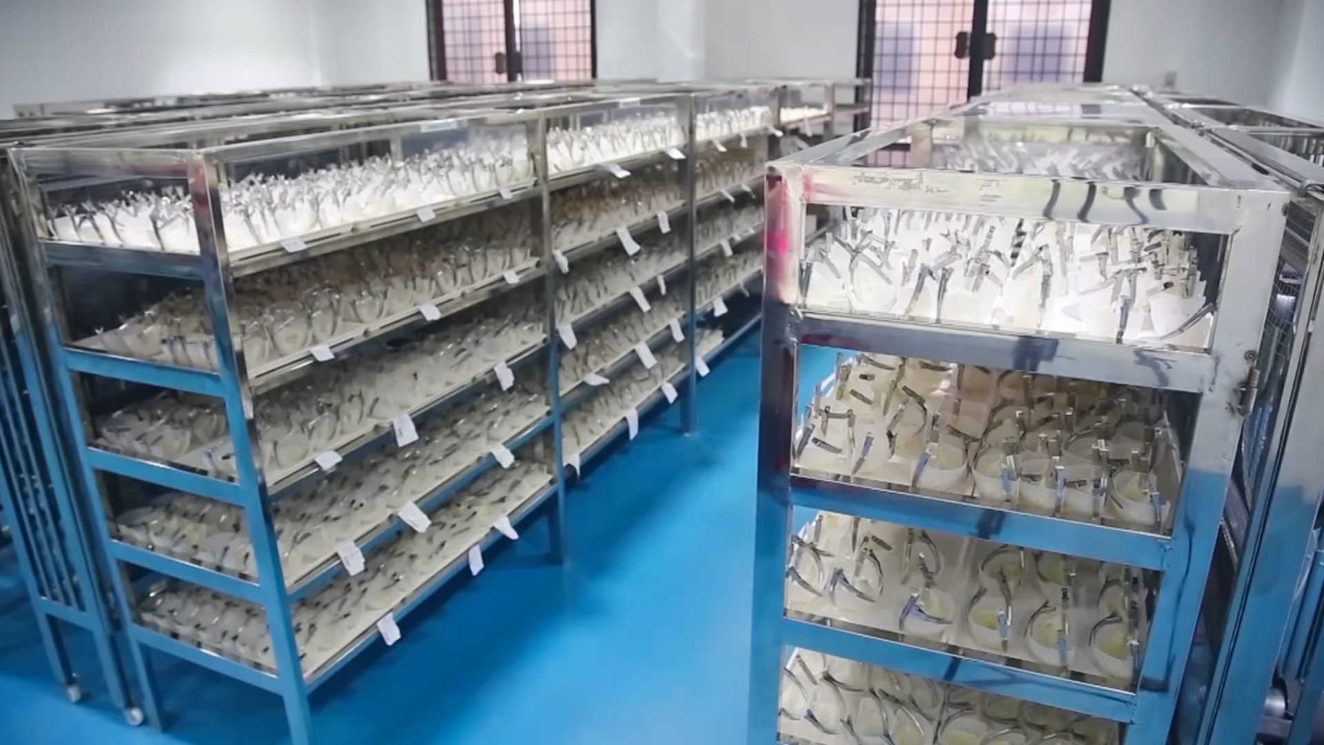 燕窝一千多怎么样,几十元一斤的燕窝