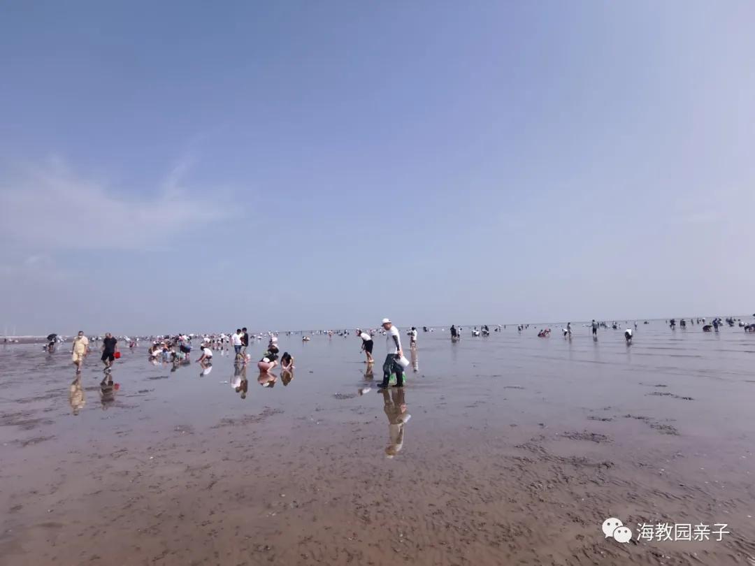 天津东疆港5月3日赶海最佳时间,天津东疆亲子赶海公园