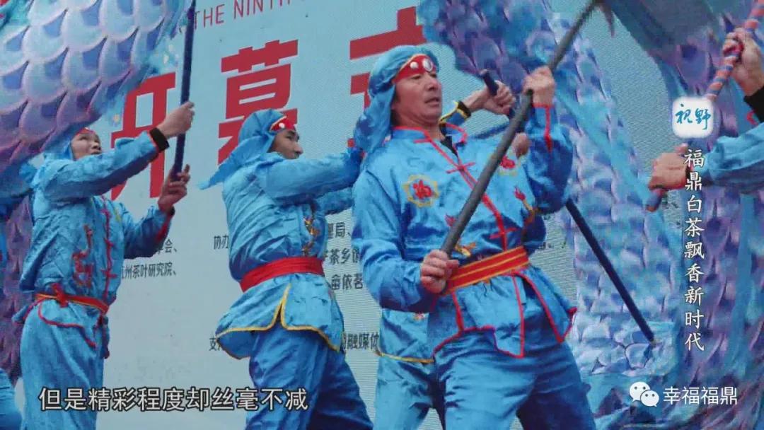 福鼎白茶兴起,白茶步入产业振兴快车道