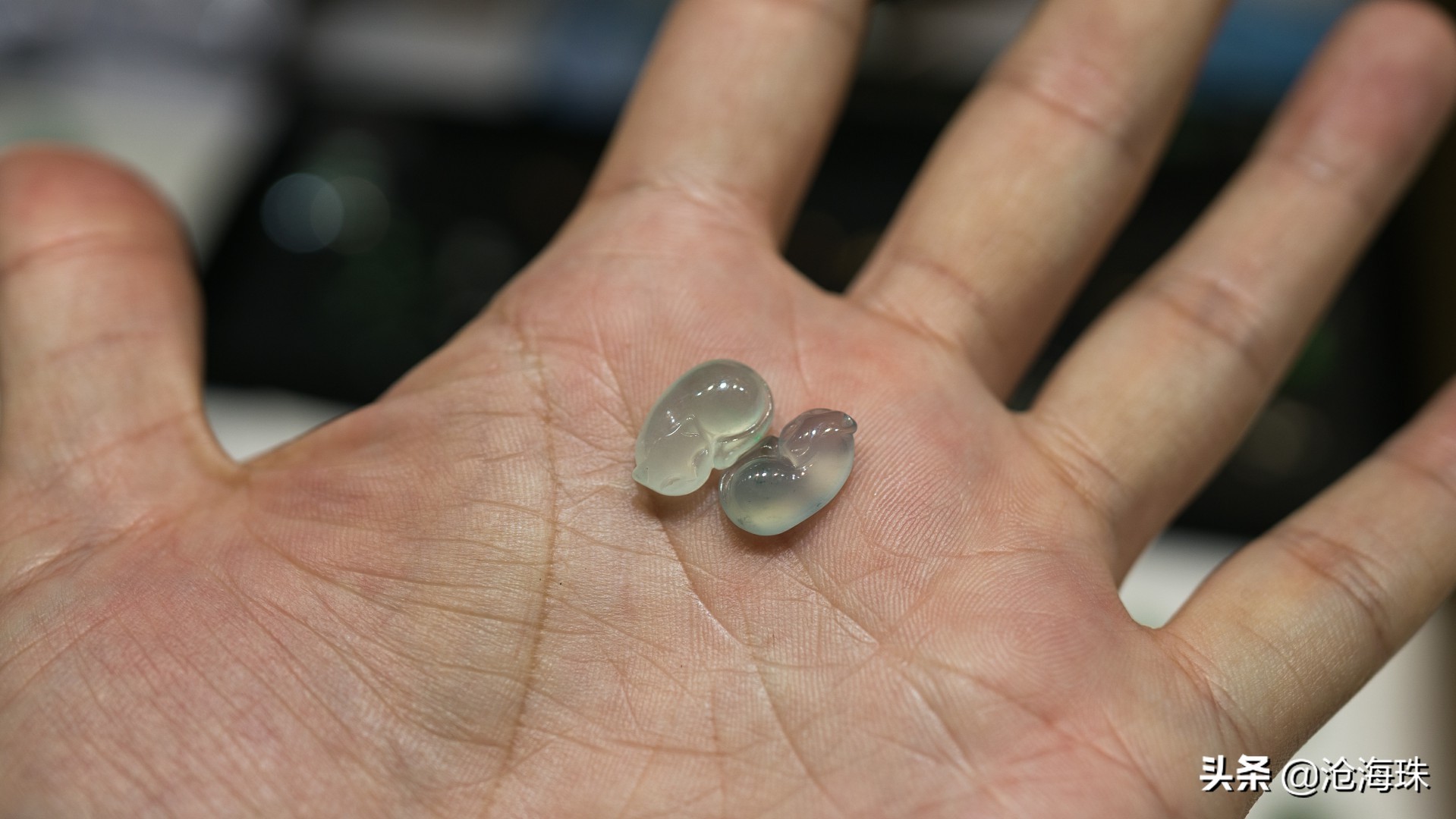 淘玉淘翡翠，带着老爸逛四会「0012期」