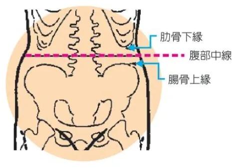 腰部赘肉解决方法,两侧腰部赘肉怎么都减不下来