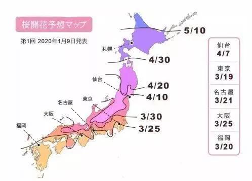 日本樱花又快开了吗 (日本樱花预计什么时候开)