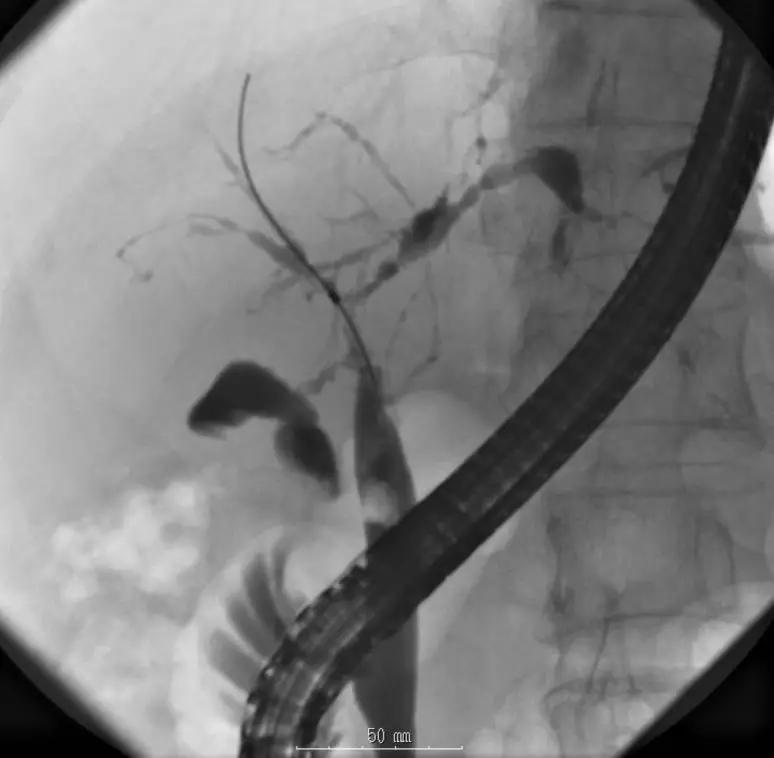 ps所有疑难杂症,ps疑难杂症