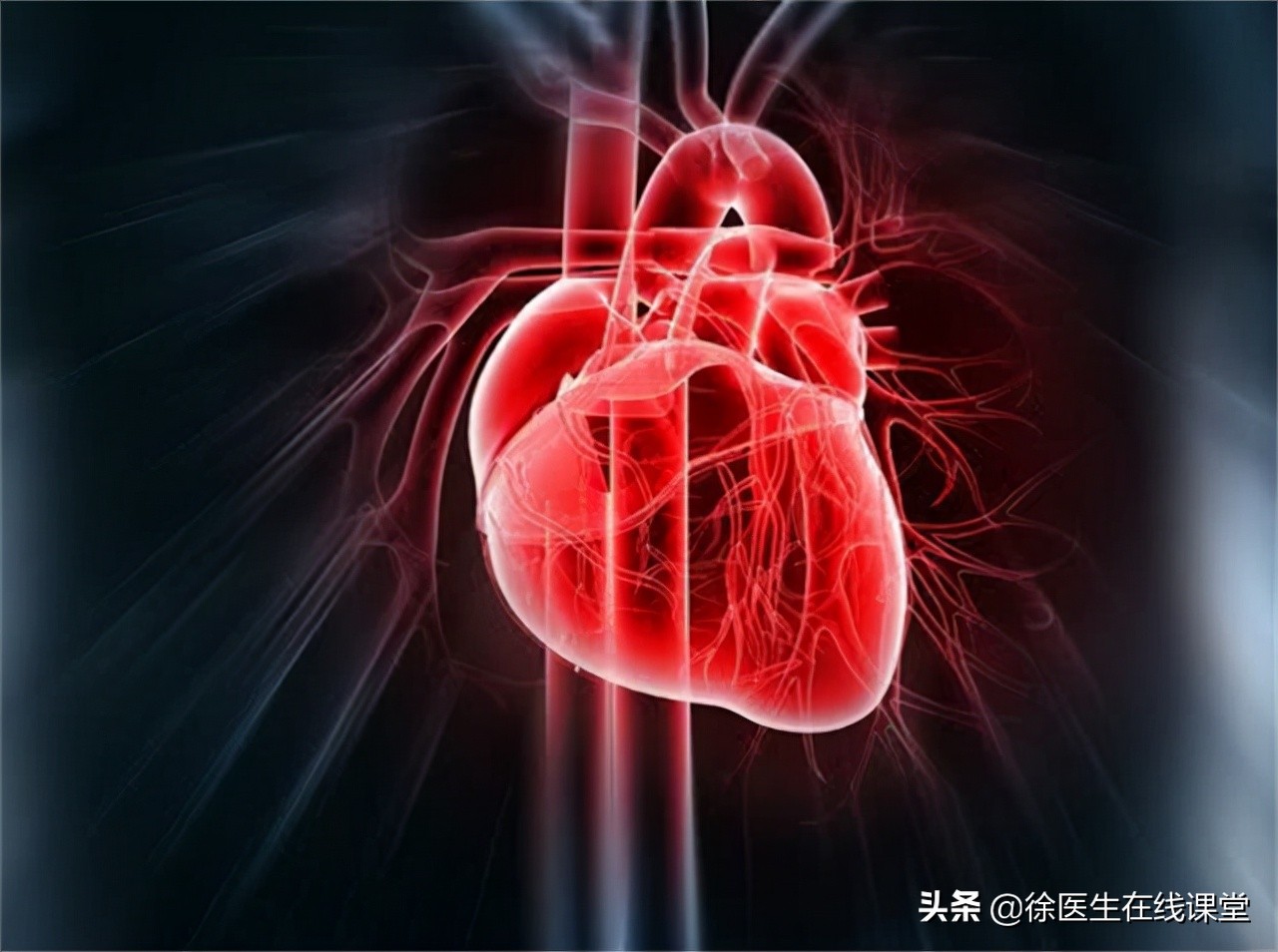 a型b型ab型o型哪种血型体质最好,血型有a型b型你知道我是什么型吗