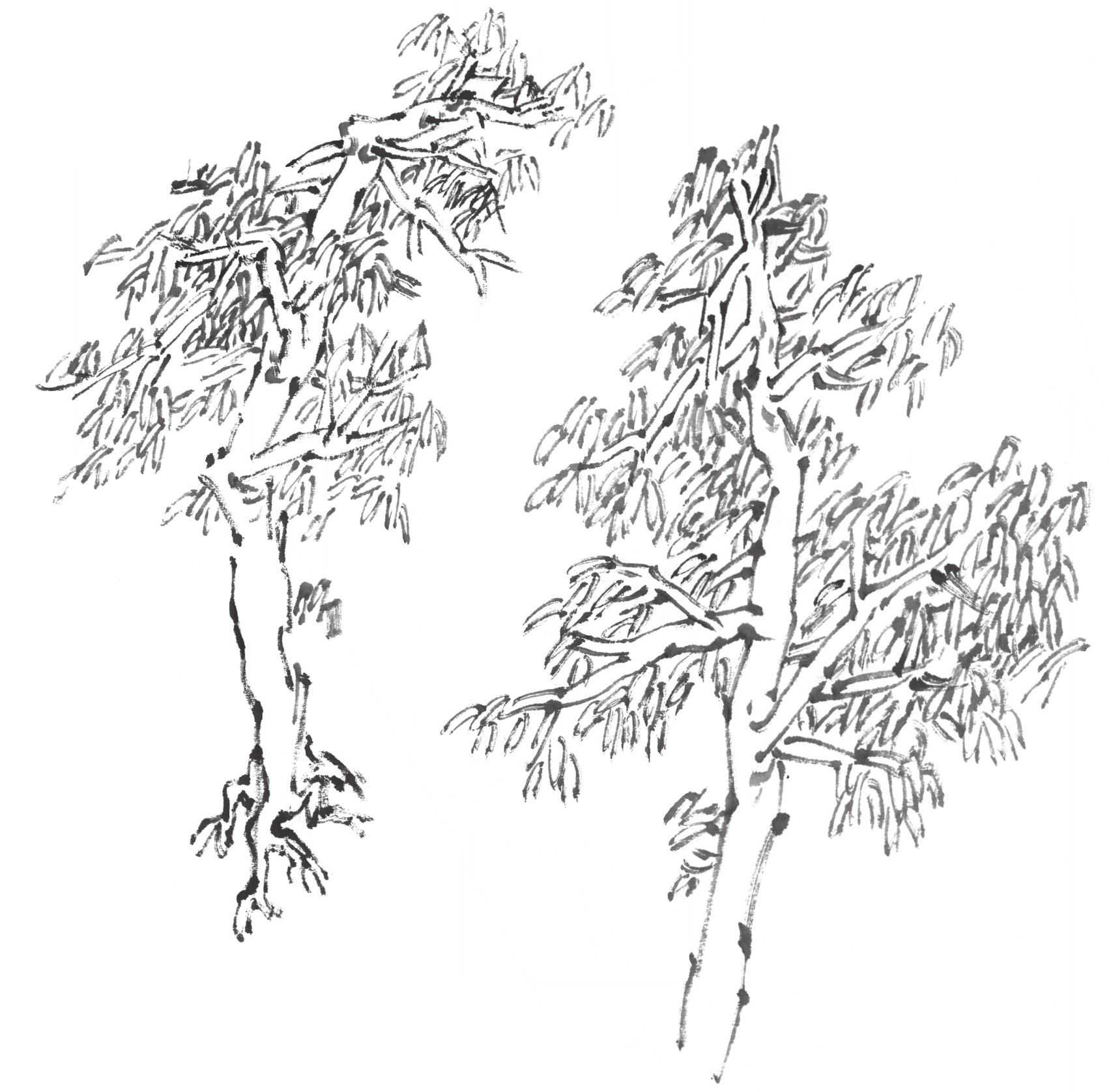 国画雪景树的画法技巧步骤,国画杂树与山石的画法图片