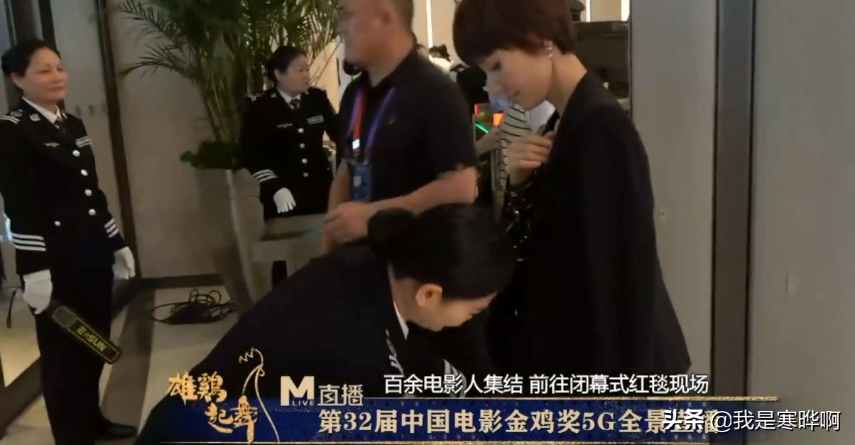 金鸡奖袁泉造型,赵薇金鸡奖视频完整版