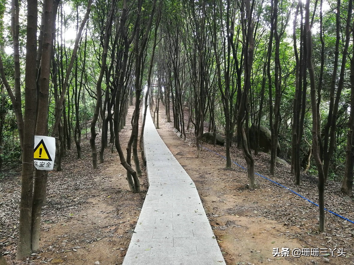 广州有座山,广州有和武功山差不多的山
