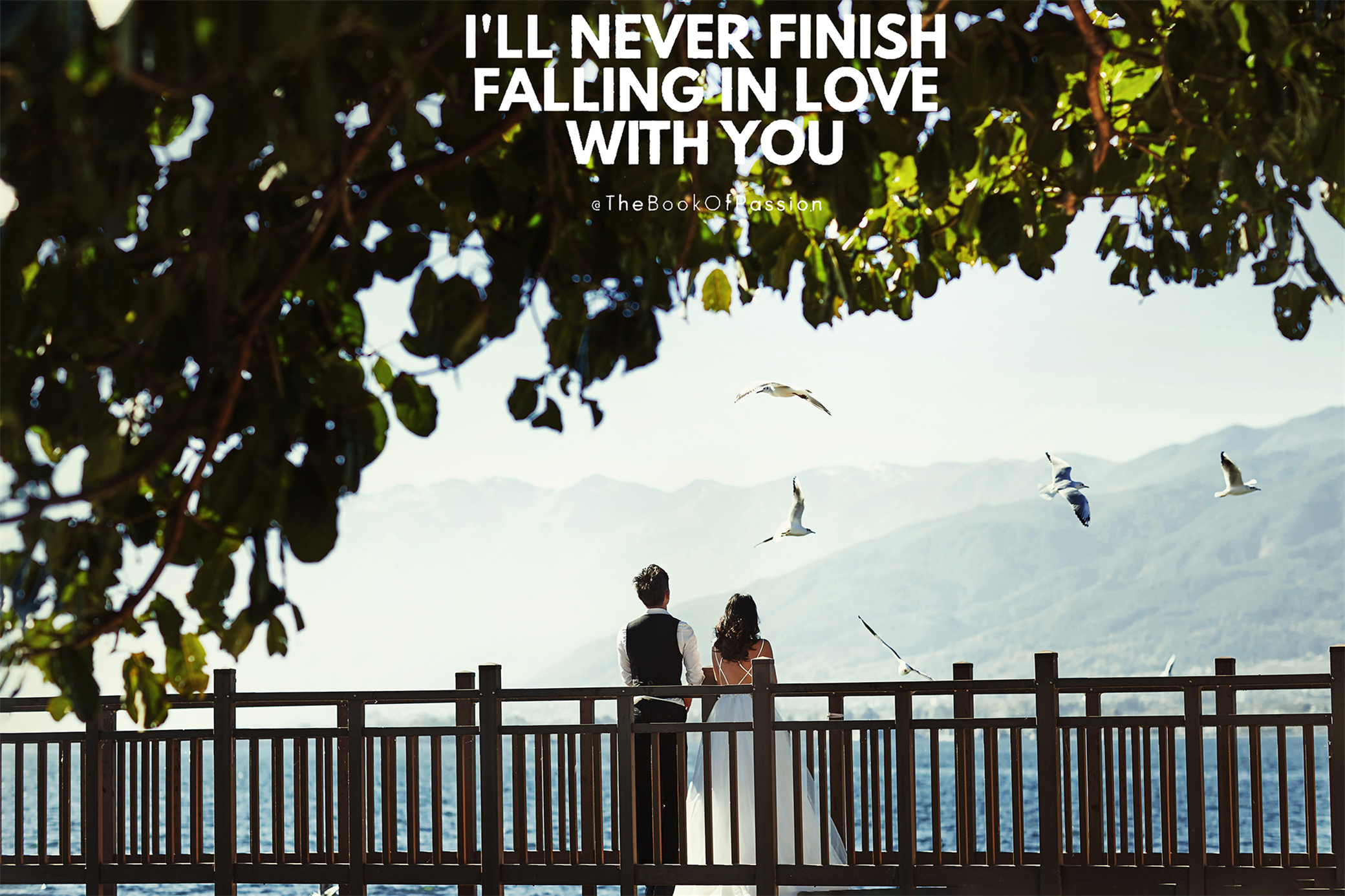 芒种拍摄的禁忌,芒种拍摄技巧视频