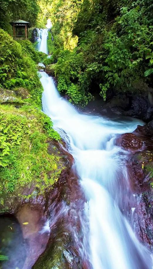 意境优美的古诗五绝,最美五绝诗赏析