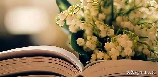 半山故事丨与网友侃写作