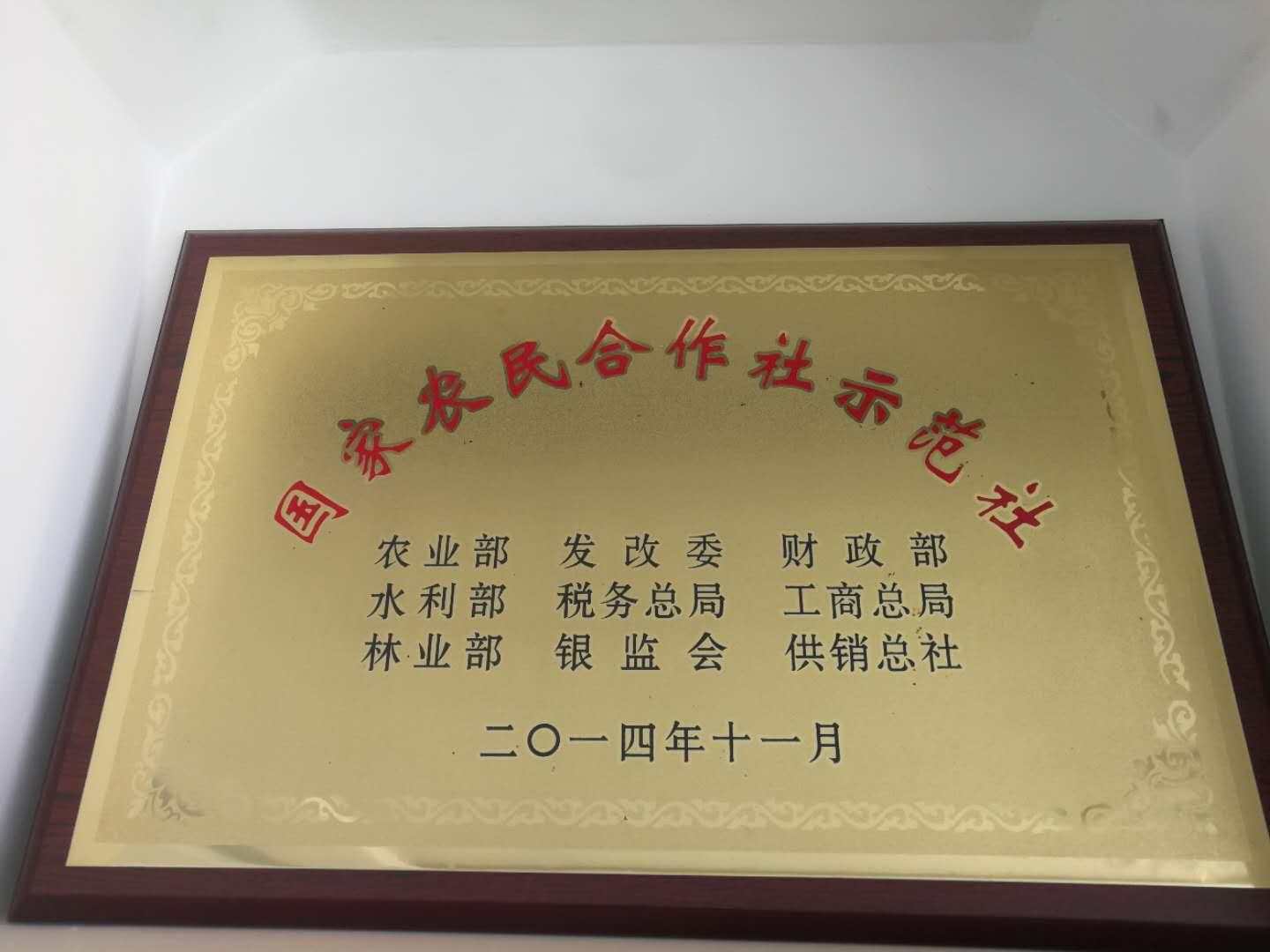 云南省通海县骄阳花卉种苗专业合作社风采(组图)