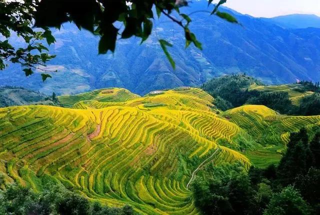 最新最全的成语大全,成语大全汇总值得收藏