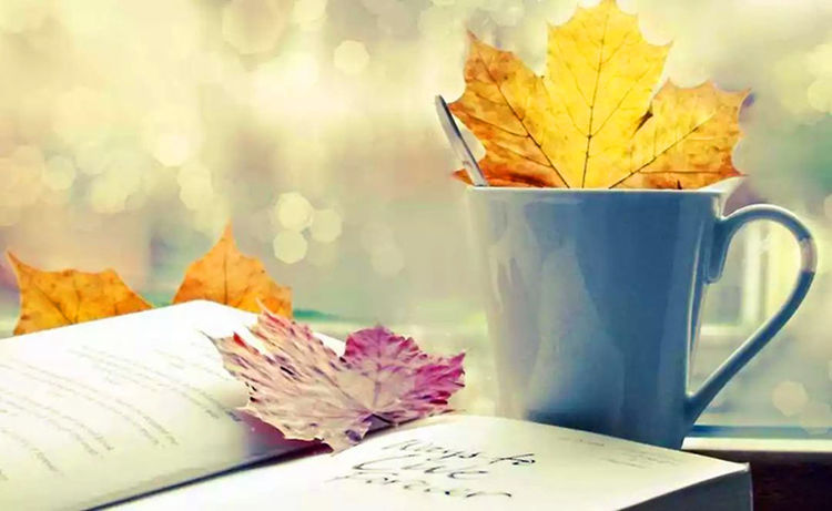 发微信经常不回的朋友,发微信别人不回怎么解决