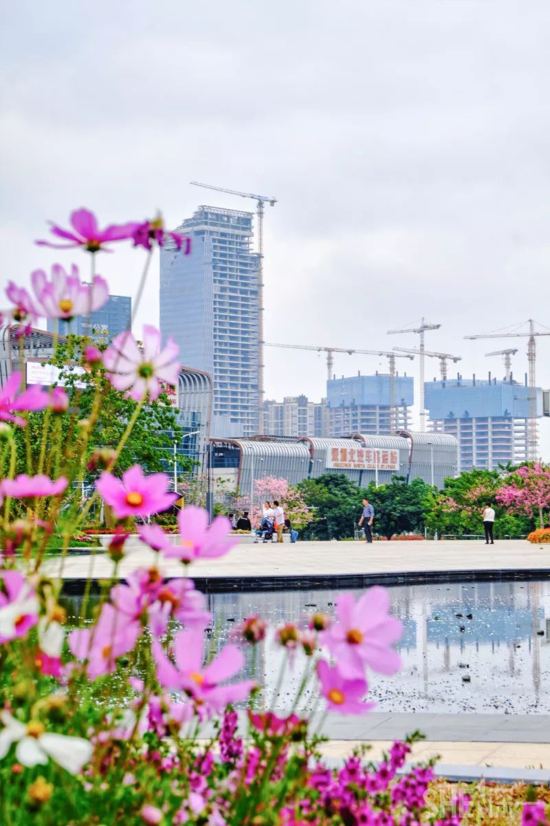 深圳网红公园地铁站,深圳地铁最近有什么公园