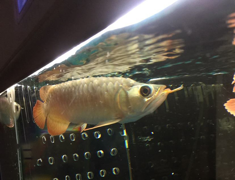 都是干旱惹来的祸,都是水惹的祸