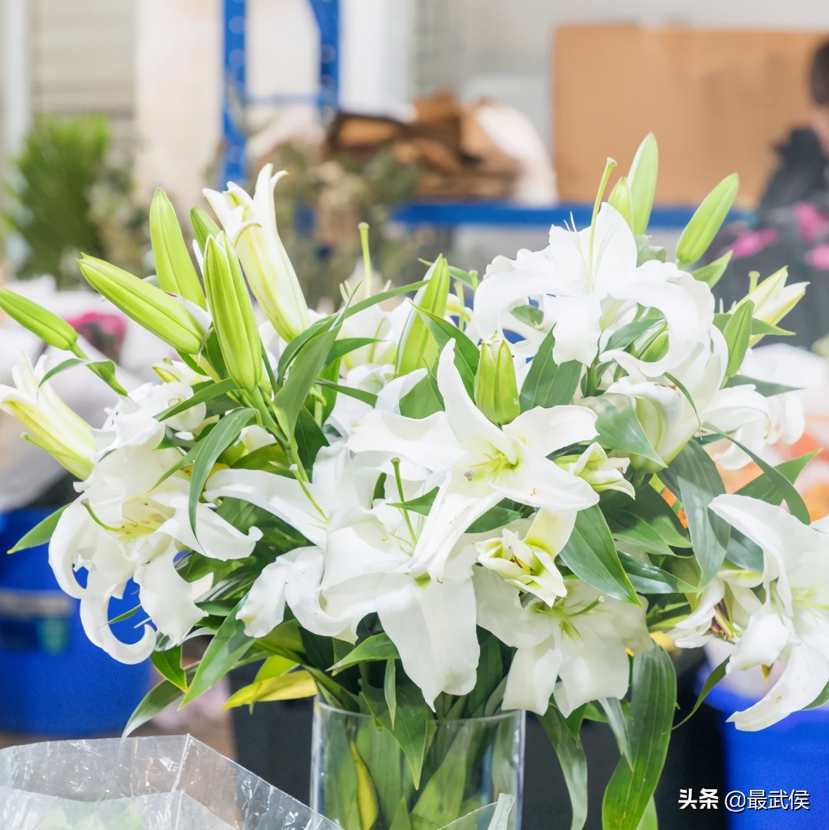 超便宜！成都铁轨下的花市5元买回一个春天！