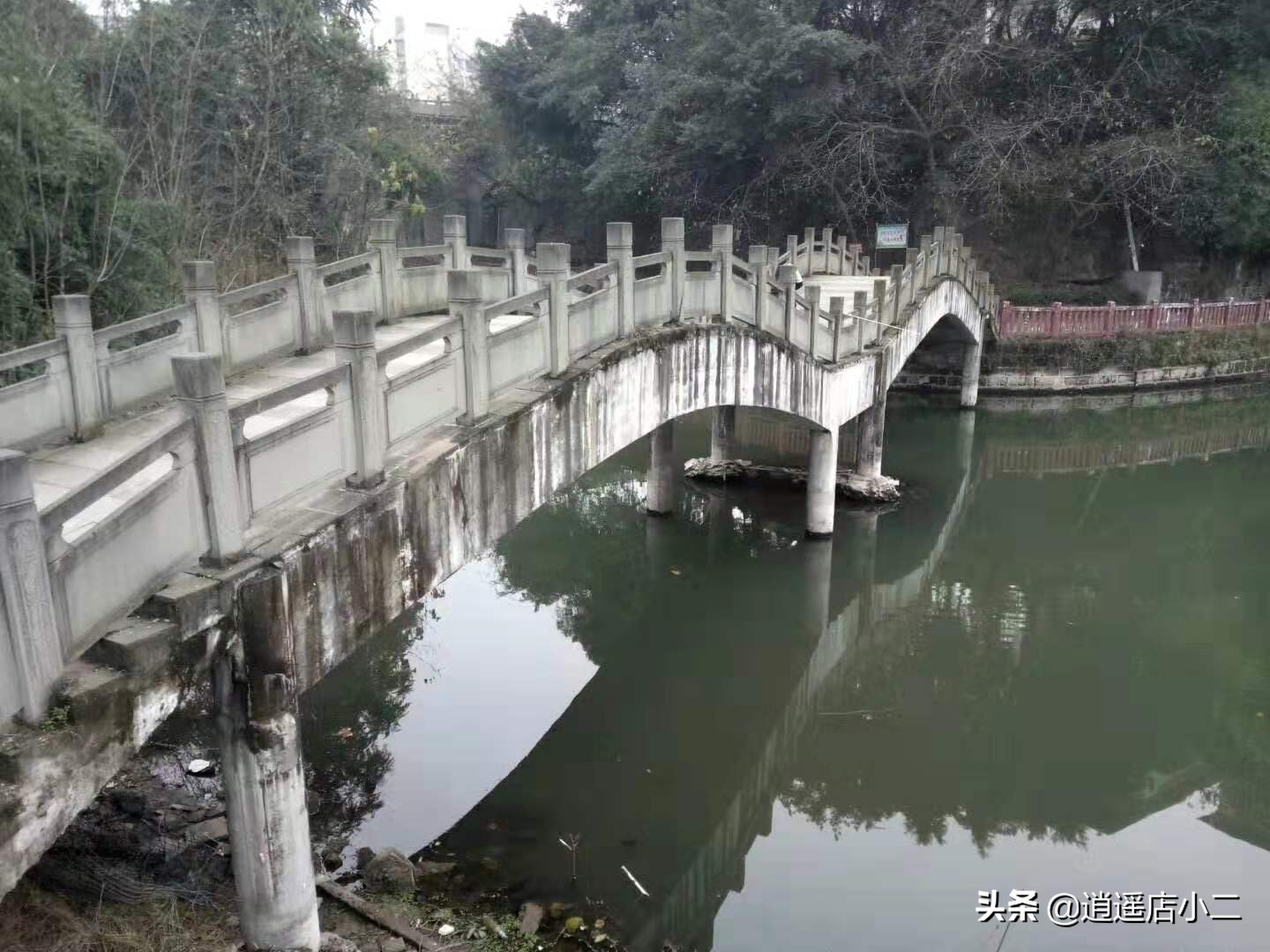 留在农村的理由,留在农村有什么生意可以做