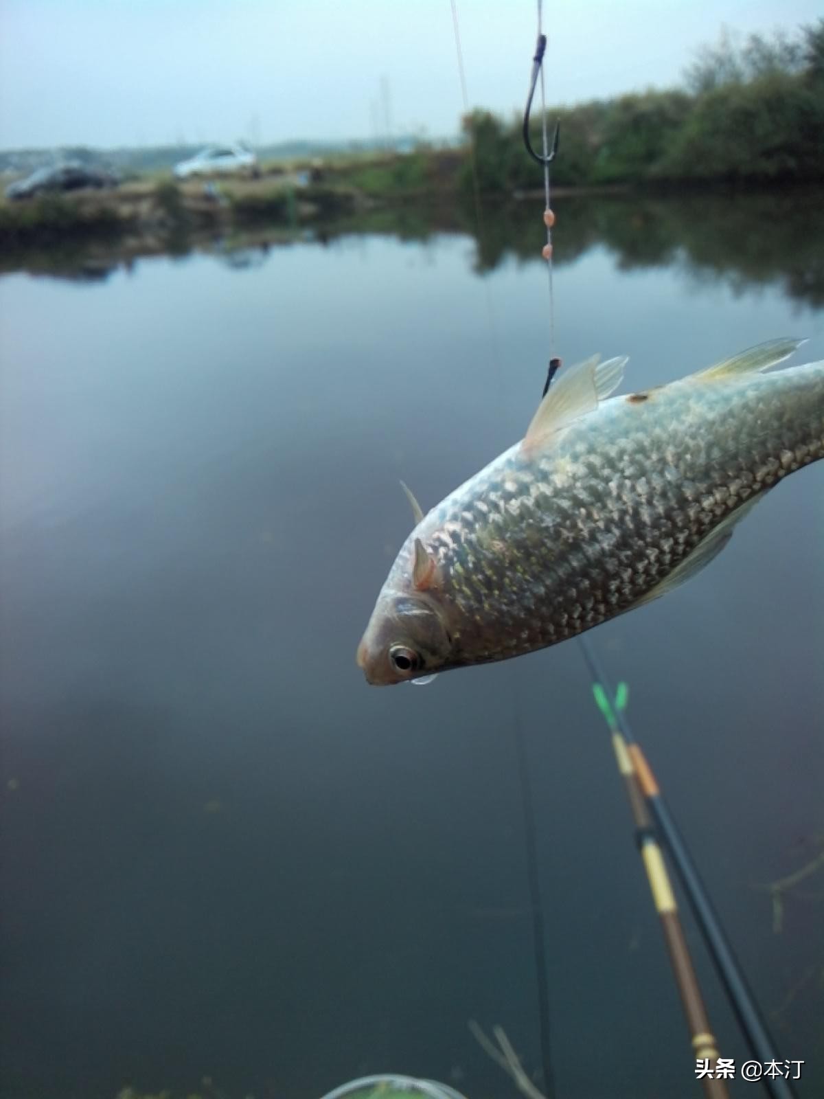 钓鱼怎么选择窝子,石窝钓鲤鱼钓法
