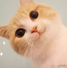 她耍大牌到让女助理给她脱袜子？