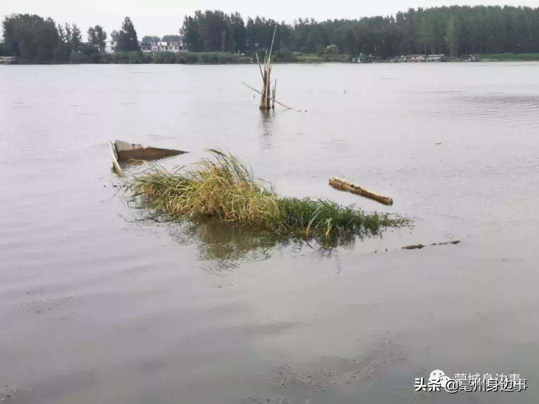 蒙城:一船一家一辈子!他们吃住都在船上