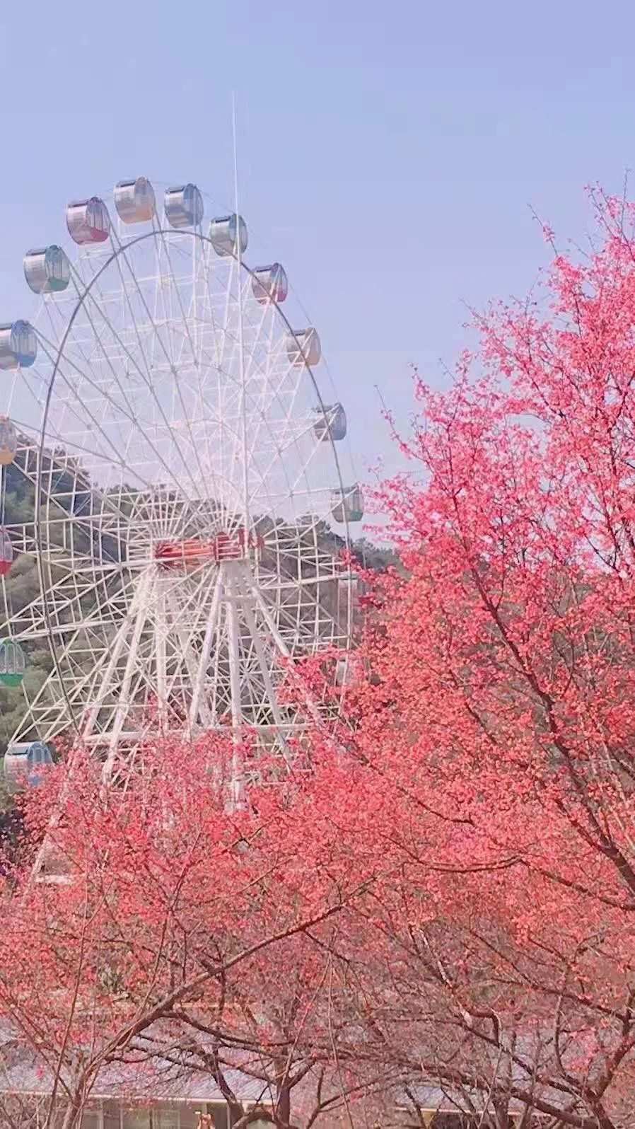 你有老铁,我有老友,有一种幸福叫南宁!