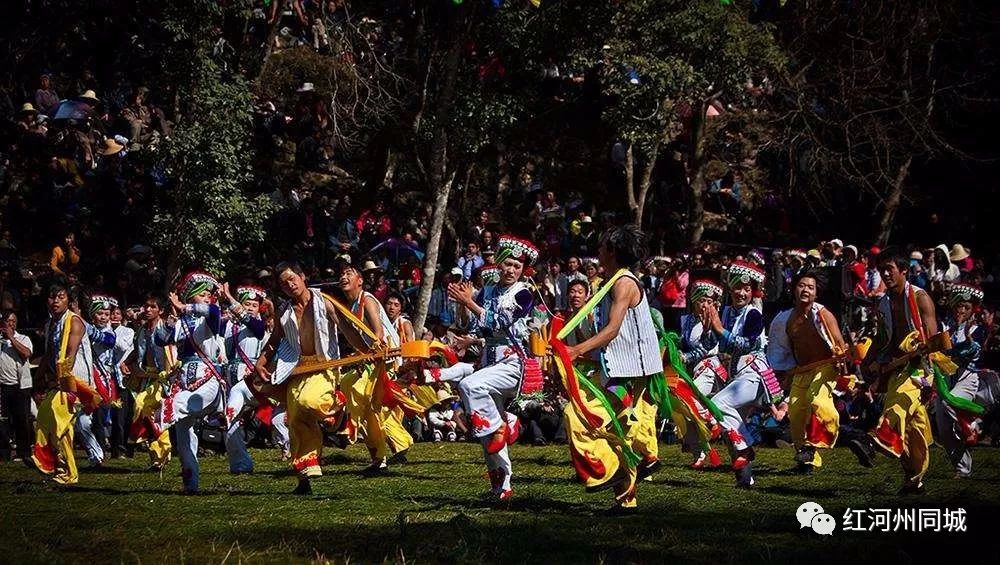 红河哈尼彝族自治州少数民族,红河州少数民族广场舞彝族
