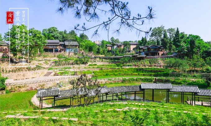 渝北周边采摘推荐,渝北茨竹附近采摘园