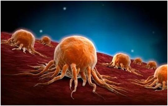 癌症做了放化疗是不是会死得更惨,癌症化疗看哪些指标