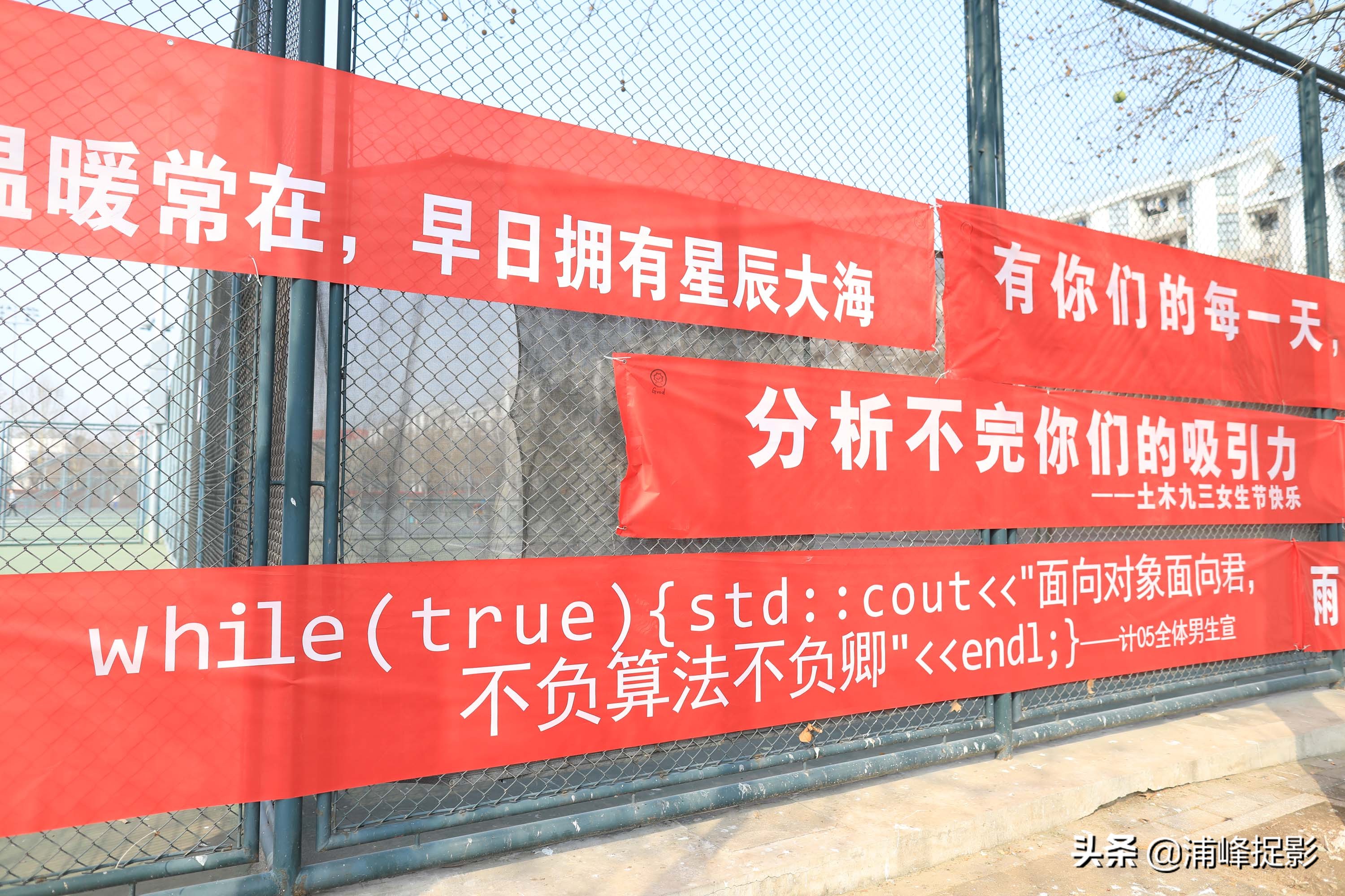 世界上有一种男生，叫清华男生，向“女神”表白高级得看不懂