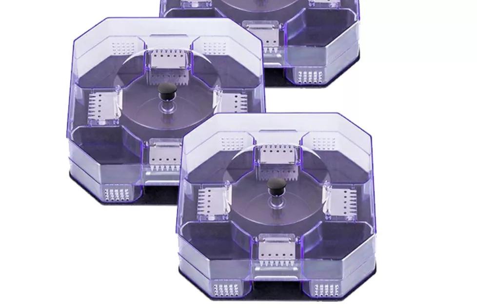 家庭灭蟑螂最好方法十招简单有效,灭蟑螂的最好方法家里有很多蟑螂