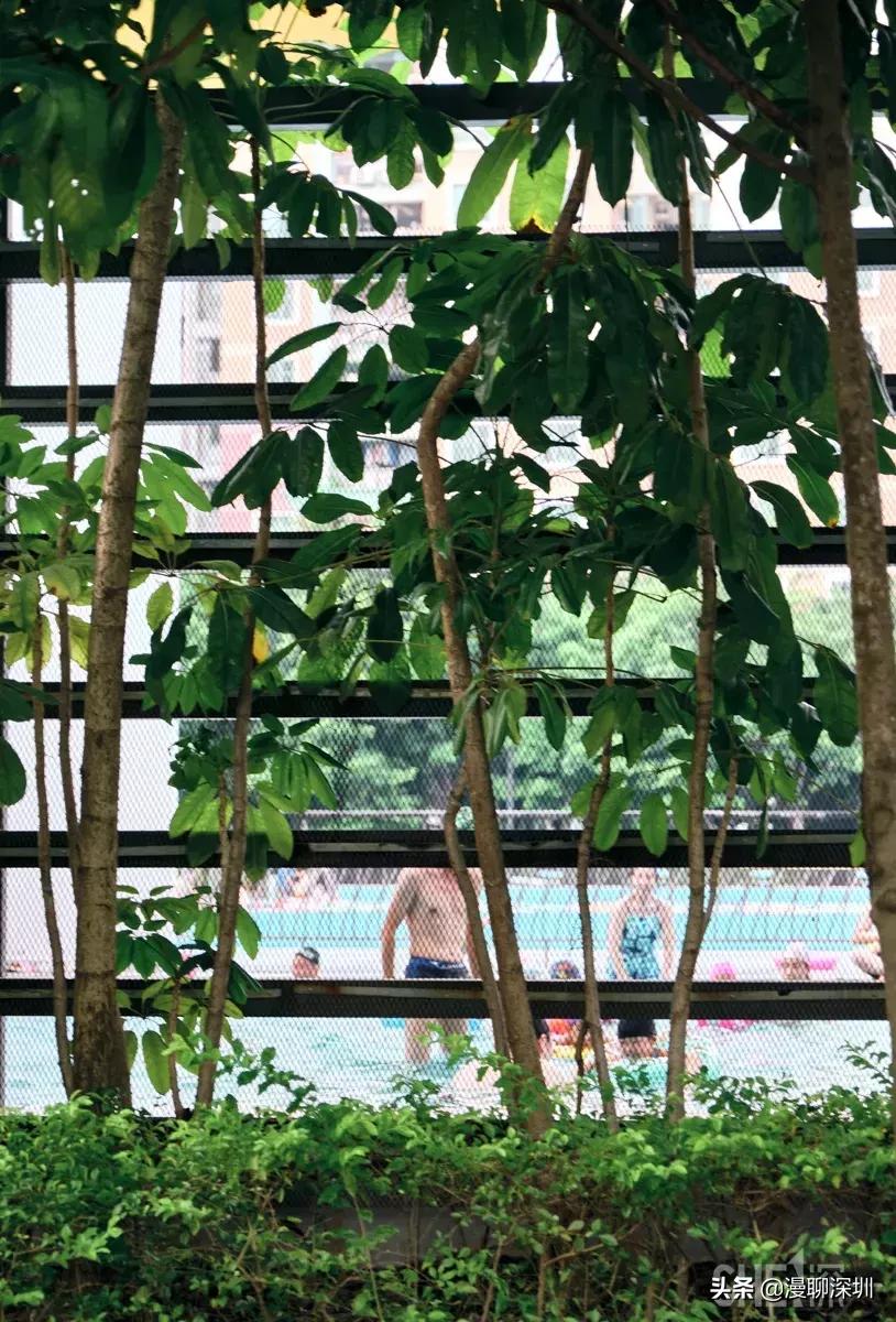 深圳益田村地址,行走深圳系列罗湖